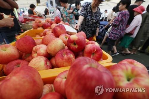 "사과 3개에 1만원" 가격 급등… 전통시장 상인·소비자 울상