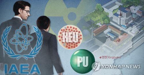 北 비핵화 '상수' 등장한 IAEA 검증… 북미회담 후 시간표 나올까