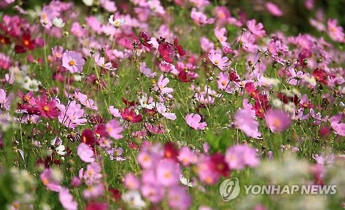 완연한 가을날씨 수도권 인파 '북적'…남부는 종일 비