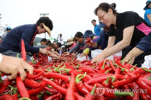 청양 고추축제서 600ｇ당 가격 2만2천원… 전년보다 37.5%↑