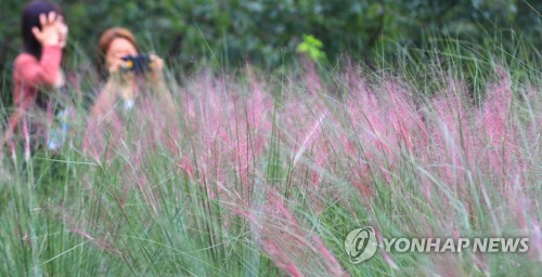 [날씨] 아침은 쌀쌀, 낮엔 따가운 햇살… 남부지방 가을비