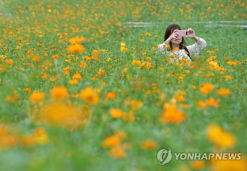 밤부터 25일 아침까지 내륙에 안개… "귀경길 운전 조심"