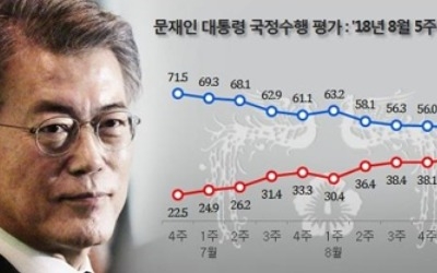 '8·30 개각'…잘했다 50.8% vs 잘못했다 28.0%