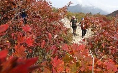 "설악산 단풍, 9월 말 시작돼 다음 달 중순 절정"