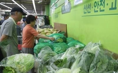 배춧값·뭇값 9월도 '고공행진'… 추석물가 '빨간불'