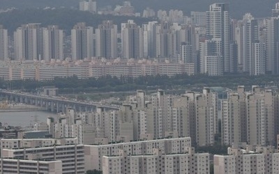 매도자도 매수자도 '눈치보기'… "한동안 거래 끊길 것"