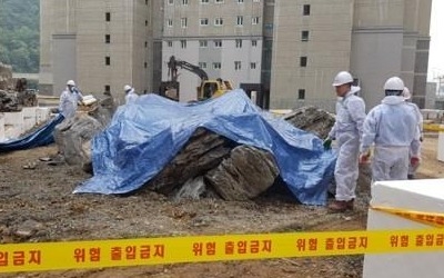 대구 아파트 공사장 '붉은 불개미' 추가 발견 없어