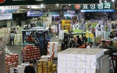 추석 주요 농산물 가격 안정세… 시금치 급등세 진정