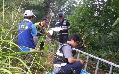 "성묘 뒤 잣·도토리 함부로 따지 마세요"…  벌금 5000만원