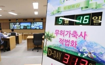 "무허가 축사 무더기 폐업하나"… 적법화 계획서 89% 제출