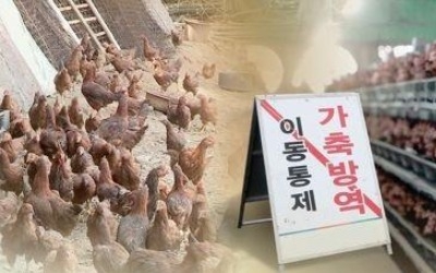 내달부터 5개월간 AI·구제역 특별방역기간… 예방활동 강화