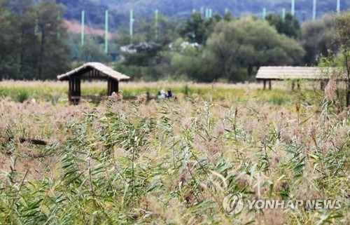 내주 대체로 맑아…최저기온 평년과 비슷한 7∼17도