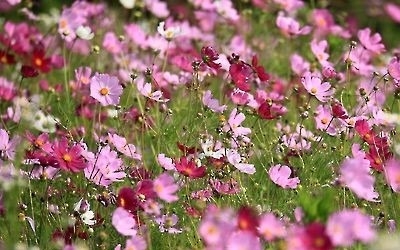 완연한 가을날씨 수도권 인파 '북적'…남부는 종일 비