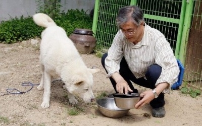 마루·토리 이어 풍산개 곰이와 송강이까지 청와대 입성…대통령의 반려견 역사