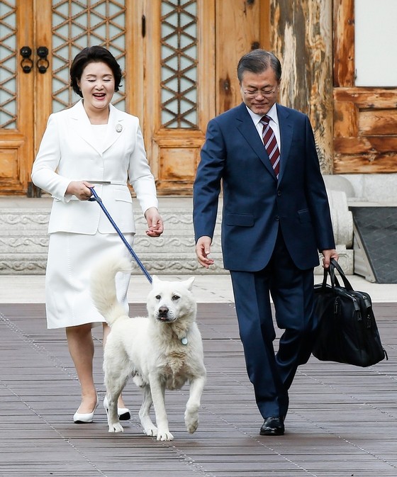 마루·토리 이어 풍산개 곰이와 송강이까지 청와대 입성…대통령의 반려견 역사