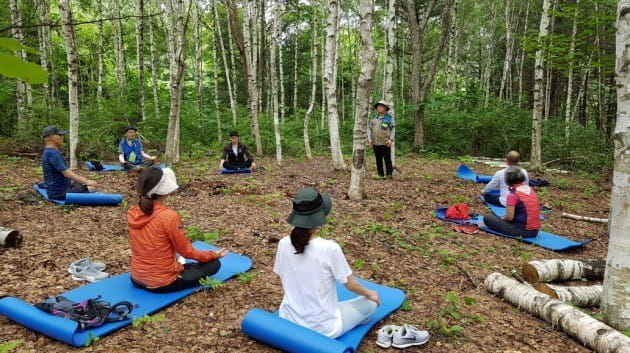 산림청 국립자연휴양림, ‘4일간의 숲 치유’ 참가자 모집