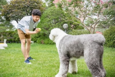  먹여주고 함께 산책가고…반려동물 돌보미 시장 '인기'