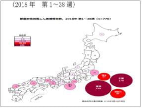 일본의 풍진 지역별 발생 현황(2018. 1주∼ 38주) 사진=질병관리본부