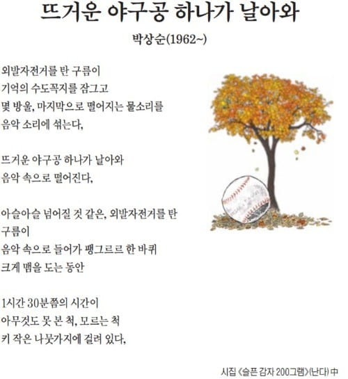 [이 아침의 시] 뜨거운 야구공 하나가 날아와 - 박상순(1962~)