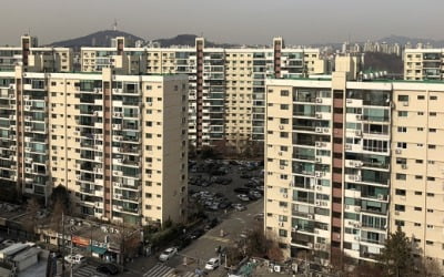 [집코노미] "대출이 뭔가요?"…강남 수십억 아파트, 현금으로 사는 큰손들