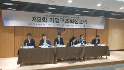 "워크아웃과 회생절차 결합한 새 대안 모색하자" 머리 맞댄 구조조정 전문가들