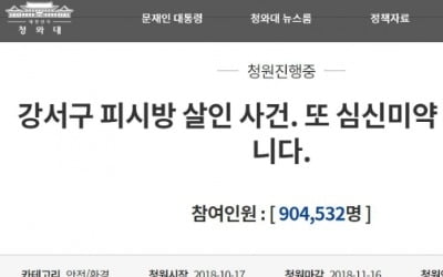 '강서구 PC방 살인' 피의자 김성수 처벌 靑 국민청원 90만명 돌파