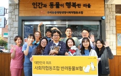 KB손해보험, 사회적협동조합 전용 반려동물보험 출시