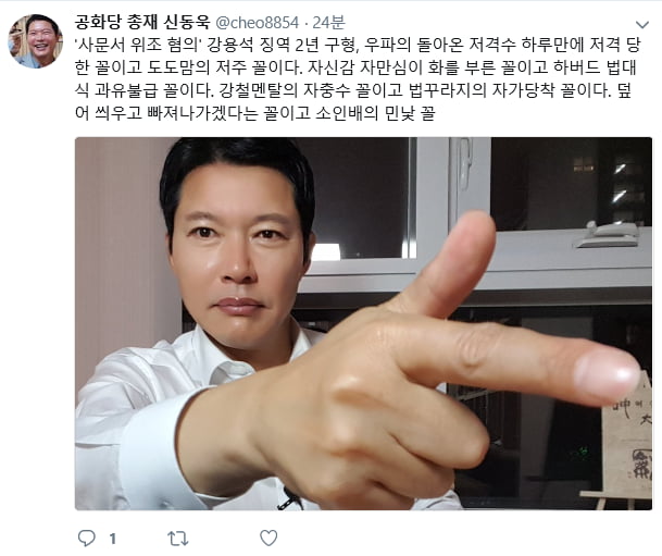 강용석 저격/사진=신동욱 총재 트위터 캡처