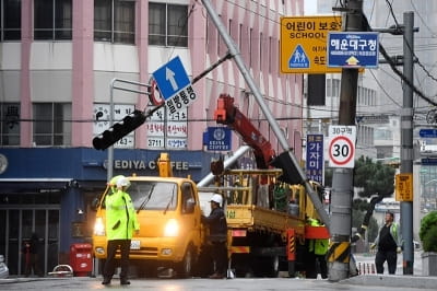 [포토] 콩레이에 쓰러진 신호등 복구에 한창