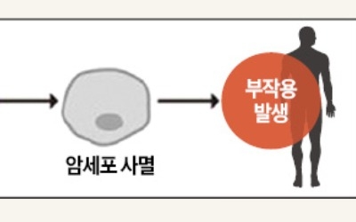 94세 지미 카터 살린 '면역항암제' 원리 발견… '3세대 癌 치료' 길 열어