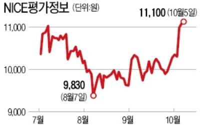 '마이데이터' 사업이 뭐길래…NICE평가정보 주가 뜀박질