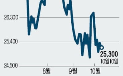 공정위 규제 대비…고려제강, 지배구조 개편하나