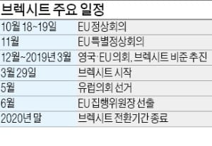 [column of the week] 브렉시트 앞두고 분열 휩싸인 영국 정치권