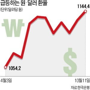 원·달러 환율 1144원으로 '껑충'…1년 만에 최고