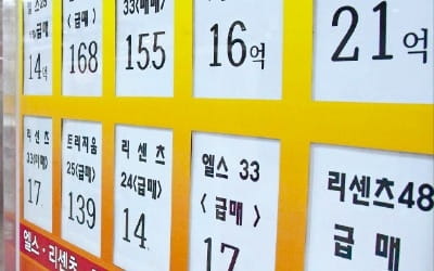 강남 아파트 호가 한달새 1억 '뚝'…서울 거래 건수도 75% 급감