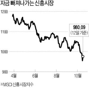 신흥국 금리 딜레마…올리자니 저성장, 내리자니 자금유출