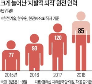 '原電 두뇌'가 떠난다…벌써 20여명 중동行