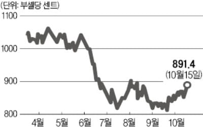 무역분쟁 속 美 대두값 반등…국내 ETF 하루새 2.7% 올라