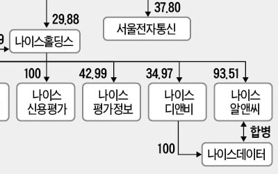  지배구조 재편 '신호탄' 쏜 나이스그룹