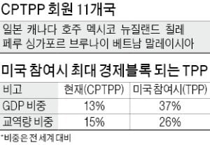 CPTPP 출범 7개월…5년째 검토만 하는 정부