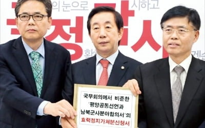 靑 "위헌 아냐" vs 野 "초헌법적 결정"…헌재로 가는 '평양선언 비준'