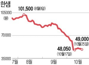 한샘 주가, 빠질 만큼 빠졌나…美헤지펀드, 172억어치 매수