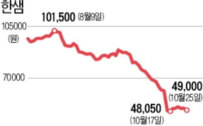 한샘 주가, 빠질 만큼 빠졌나…美헤지펀드, 172억어치 매수