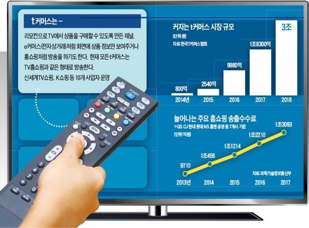 쑥쑥 크는 t커머스…홈쇼핑 황금채널 꿰차다