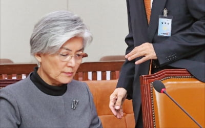 강경화 "김정은 연내 서울 답방 추진중"