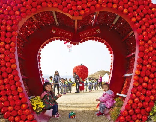 ‘자연을 담아낸 황금사과 이야기’를 주제로 제14회 청송사과축제가 청송군 용전천일원에서 열린다. 