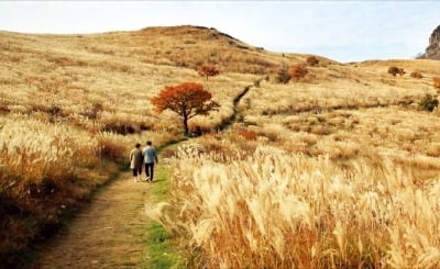 볼거리·즐길거리 가득한 경남으로 떠나요