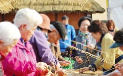 인삼축제·장단콩축제·햇살드리 축제…건강 먹거리 풍성한 축제나들이 가자