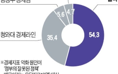 "靑·행정부 탓" 54%…"靑 책임이 더 크다" 35%