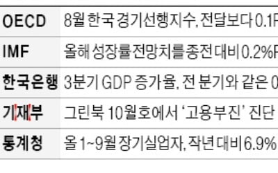 OECD 선행지수 17개월째 하락…韓경기 내년에도 '짙은 먹구름'